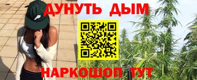 крисы Апшеронск