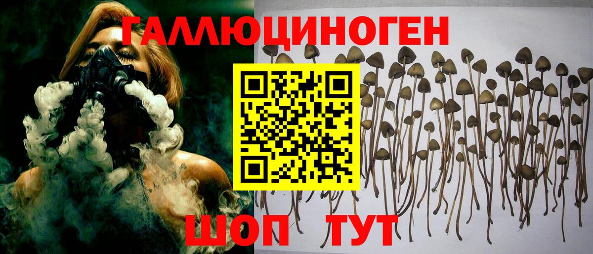 Псилоцибиновые грибы GOLDEN TEACHER  Вход с VPN  Галлюциногенные грибы мухоморы  Бузулук 
